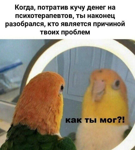 Как ты мог