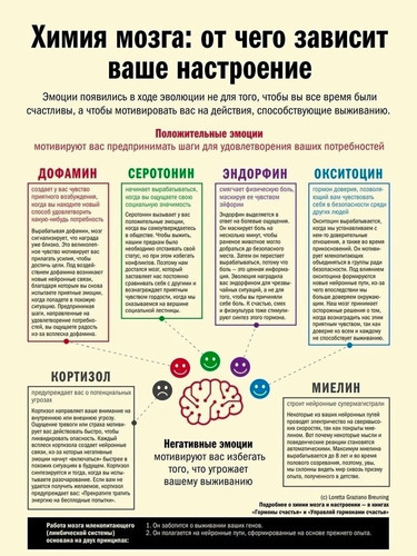 Химия мозга
