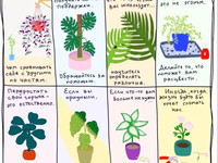 Жизненные уроки от растений